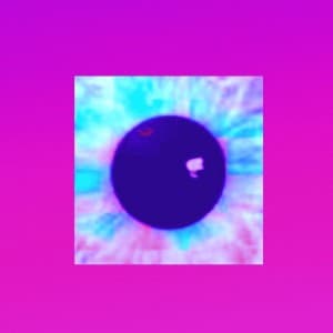 rugwallcontinuum's LeafedOut Profile