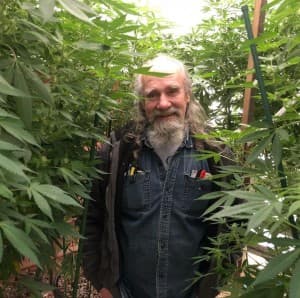 Cannahigh123's LeafedOut Profile