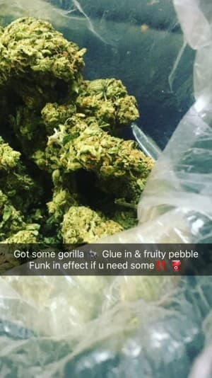Maryjane956's LeafedOut Profile