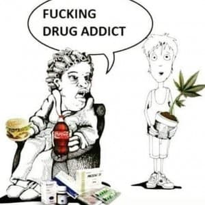 Cactus420's LeafedOut Profile