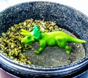 Winwood420's LeafedOut Profile