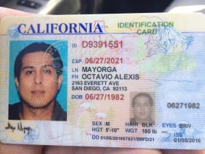 Alex_Mayorga's LeafedOut Profile