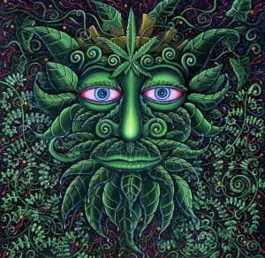 HippieStoned202's LeafedOut Profile