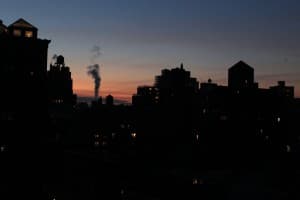 NYC Connoisseur's LeafedOut Profile
