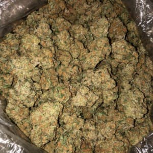 landyrstoner's LeafedOut Profile