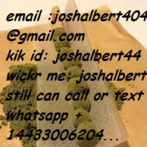 legaldealer's LeafedOut Profile