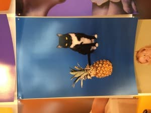 AGeeBee's LeafedOut Profile