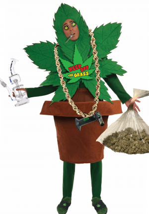 Hashish's LeafedOut Profile