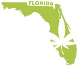 BionicBrittany's LeafedOut Profile