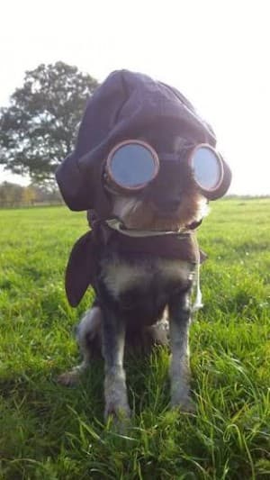 _Womble's LeafedOut Profile