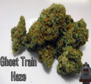 highasakite028's LeafedOut Profile