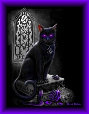 KittyKush's LeafedOut Profile