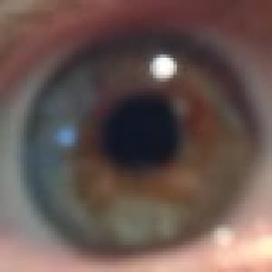 scarcatcher's LeafedOut Profile