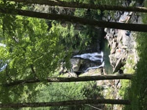 BestBuddy27's LeafedOut Profile