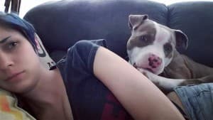pitbulrednose's LeafedOut Profile