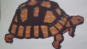 TortugaGreen's LeafedOut Profile