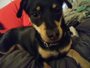 shapop33's LeafedOut Profile