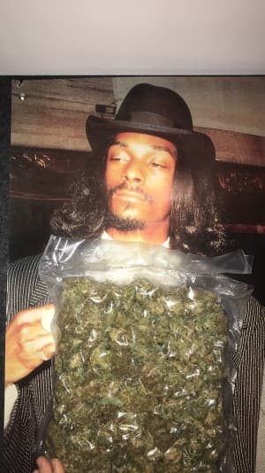 Mackalovessesh's LeafedOut Profile