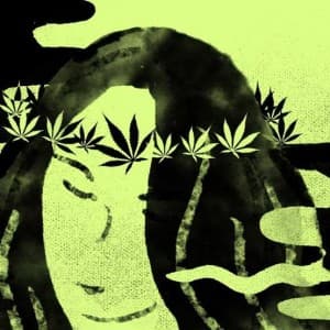 Kingy79's LeafedOut Profile