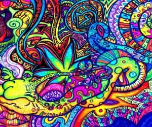BlueberryMagic's LeafedOut Profile