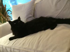 weedslut's LeafedOut Profile