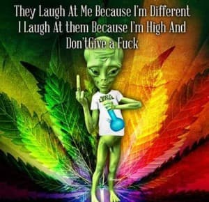 mrbudtender's LeafedOut Profile
