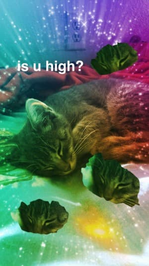 flower_nugz24's LeafedOut Profile