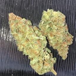 Super Sour Widow
