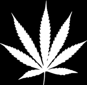 theunknownnow's LeafedOut Profile