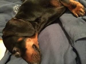 Scooby420's LeafedOut Profile