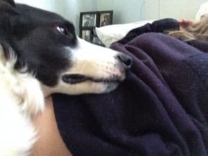 Busta_b234's LeafedOut Profile