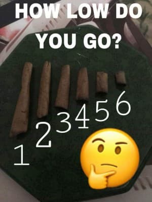 Jennifer54's LeafedOut Profile