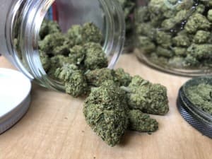 JosephCP420's LeafedOut Profile