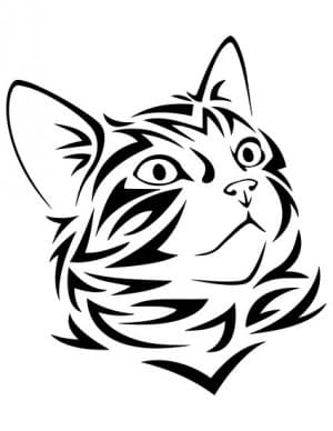 DocNZoch's LeafedOut Profile