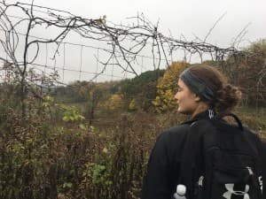 Lizbithann's LeafedOut Profile