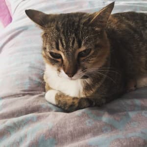 Mimi2469's LeafedOut Profile