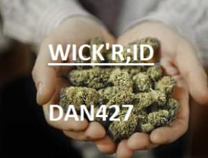 zdsweq's LeafedOut Profile