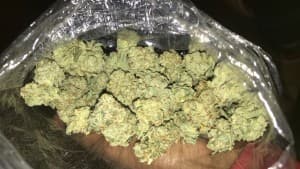 HeavyStoner's LeafedOut Profile