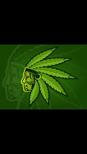 OhioBudDepot's LeafedOut Profile
