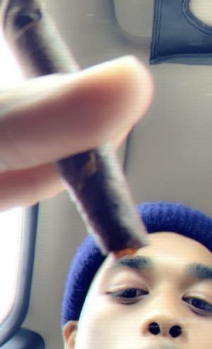 donessx's LeafedOut Profile