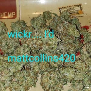 Kzmt44's LeafedOut Profile