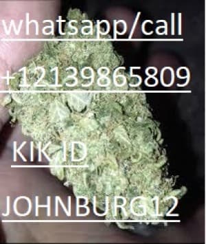 buymedicalzbudsxmens420's LeafedOut Profile