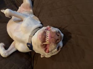Reggie2013's LeafedOut Profile