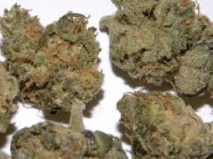 Dakam420's LeafedOut Profile