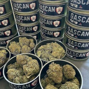 bud9871's LeafedOut Profile