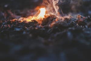 CampfireSmoke's LeafedOut Profile
