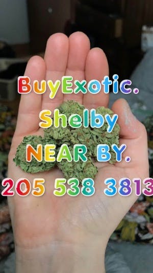 BuyExoticShelby's LeafedOut Profile
