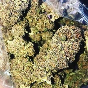 awilokush's LeafedOut Profile