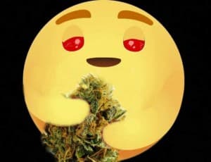 CrownTownToker's LeafedOut Profile