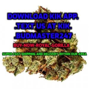 Available-Purple-Kush's LeafedOut Profile
